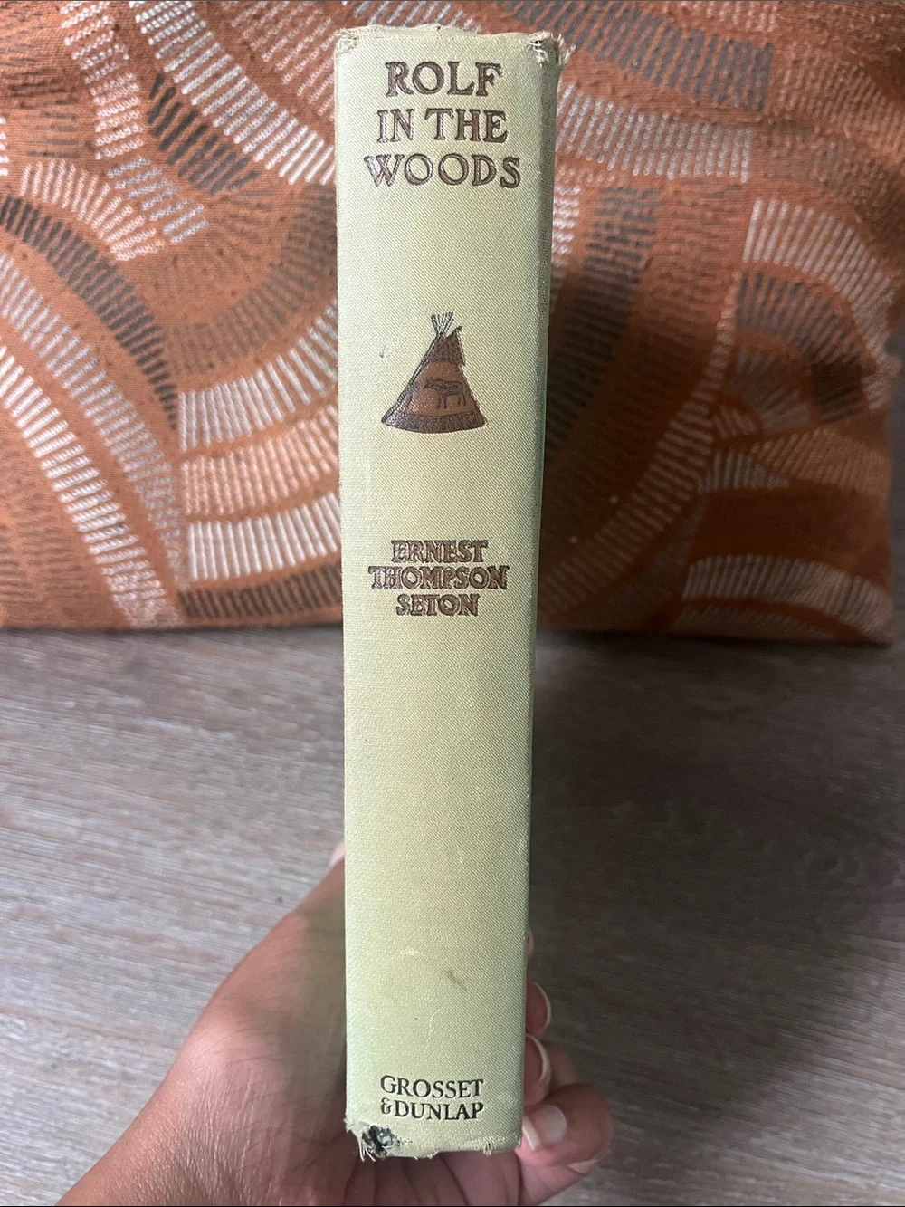 Rolf in the Woods by Ernest Thompson Seton - Mint Green Cover 1911